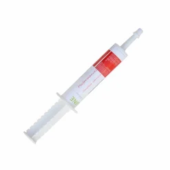 Sale - Complément vitaminé Performance Développement Musculaire|Vitamines