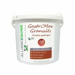 Discount - Complément confort de l'estomac Gastri'Max granulés Ulcères Gastriques|Estomac