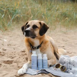 Anti-Inflammatoires*Alodis Care - Baume après choc pour chiens Cani Urgency