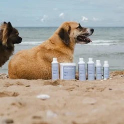 Anti-Inflammatoires*Alodis Care - Baume après choc pour chiens Cani Urgency