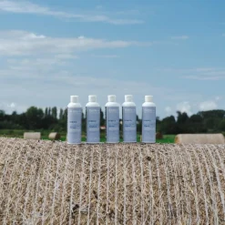 Clearance - Baume Cani & Cat Stress pour chien et chat Anti-Stress|Anti-Stress