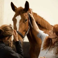 Graisses & Baumes Pour Cuirs*Alodis Care - Baume soin du cuir à la cire d'abeille Cuir Food