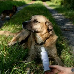 Compléments Alimentaires*Alodis Care - Complément alimentaire liquide Cani & Cat Complexe pour chien et chat