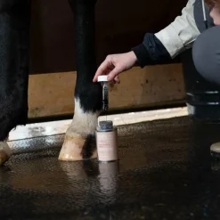 Fourchettes Pourries*Alodis Care - Fourchette Clean