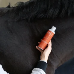 Baumes Et Gels Décontractants*Alodis Care - Huile massante Work Recup après effort