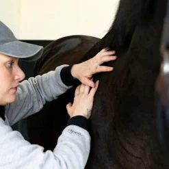 Baumes Et Gels Décontractants*Alodis Care - Huile massante Work Recup après effort