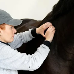 Baumes Et Gels Décontractants*Alodis Care - Huile massante Work Recup après effort