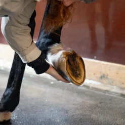 Huiles Pour Sabots*Alodis Care - Huile pour sabots Hoof Choc