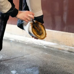 Huiles Pour Sabots*Alodis Care - Huile pour sabots Hoof Choc