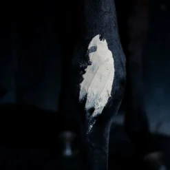 New - Tendi Flash Argile récupération sportive Argiles