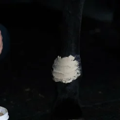 New - Tendi Flash Argile récupération sportive Argiles