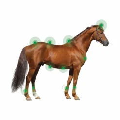 Dermite Estivale*Animaderm - Crème dermite estivale pour peau fine Derfen original