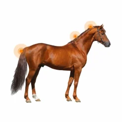 Outlet - Lotion dermite estivale pour peau fine Derfen original Dermite Estivale