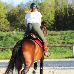 Pantalons D'Équitation*Animo Italia - Pantalon d'équitation femme Nule kaki Vert