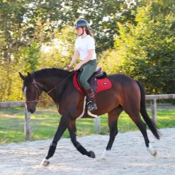 Pantalons D'Équitation*Animo Italia - Pantalon d'équitation femme Nule kaki Vert