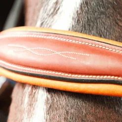 Licols En Cuir*Antarès Sellier - Licol doublé cuir marron