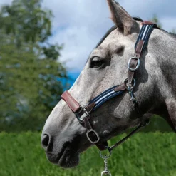 - Licol en cuir Stressless grainé havane / marine Élevage|Licols En Cuir