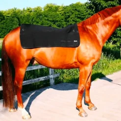 Sale - Chauffe-dos Back Warmer Accessoires De Massages