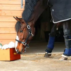 Best - Guêtres d'écurie royales marine x2 Guêtres D'Écurie