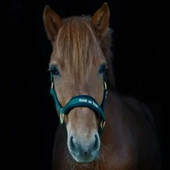 Outlet - Licol werano Licols En Nylon