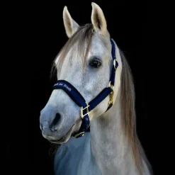 Licols Poneys|Licols En Nylon*Back On Track - Licol Werano Bleu