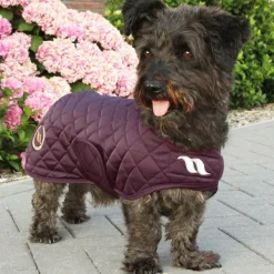 Hot - Manteau chien Night 0g Manteaux