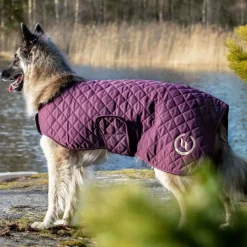 Hot - Manteau chien Night 0g Manteaux
