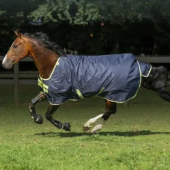 - Couverture d'extérieur Oasis Turnout 100 / lime 100g Couvertures Et Chemises