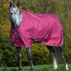 Outlet - Couverture d'extérieur Freedom Turnout 300 rasberry 300g Couvertures Et Chemises