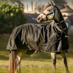 Couvertures Et Chemises*Bucas - Couverture d'extérieur Irish Turnout 100 / gold 100g Noir