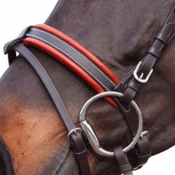 Bridons Poneys|Bridons*Canter - Bridon Alme têtière anatomique marron Havane