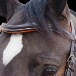 Bridons Poneys|Bridons*Canter - Bridon Alme têtière anatomique marron Havane