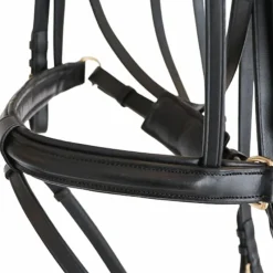 Outlet - Bridon Euro pull back avec rênes Bridons|Cso