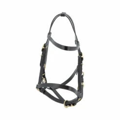 Élevage|Licols En Cuir*Canter - Bridon licol cheval large Noir