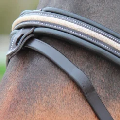 Bridons*Canter - Bridon muserolle croisée Mylord / light gold Noir