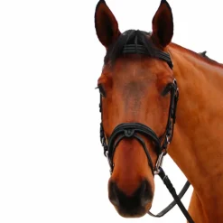 Bridons*Canter - Bridon muserolle croisée Mylord / Noir