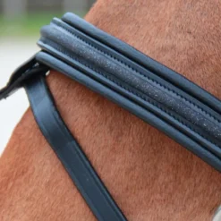 Bridons*Canter - Bridon muserolle croisée Mylord / Noir