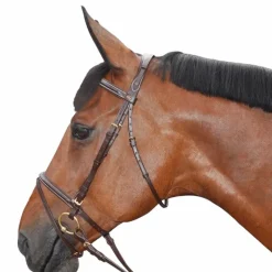 Bridons Poneys|Bridons*Canter - Bridon Surpiqué combiné avec rênes marron Havane