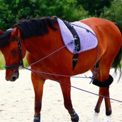 - Enrênement à poulies pour longe corde Pessoa