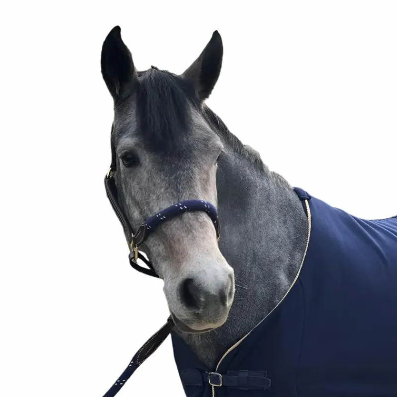 Élevage|Licols Poneys*Canter - Licol cheval corde / marine Marron