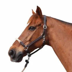 Outlet - Licol en corde bouclerie argent / beige Licols Poneys|Licols En Cuir