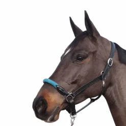 Hot - Licol en corde bouclerie argent / emeraude Licols Poneys|Licols En Cuir