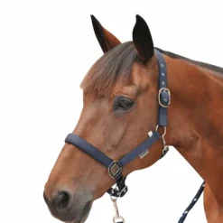 New - Licol nylon doublé Licols En Nylon