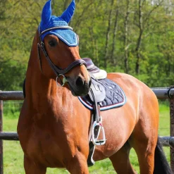 - Sangle bavette mouton Concours Complet D'Equitation|Bavettes