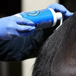 Dermite Estivale*Carr & Day & Martin - Lotion Killitch dermite estivale