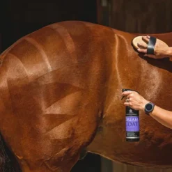 Lustrants*Carr & Day & Martin - Lustrant Dreamcoat