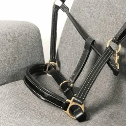 Élevage|Licols En Cuir*Chetak - Licol cheval Bright cuir doublé Noir