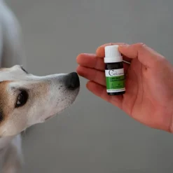 Online - Complément alimentaire pour chiens et chats douleur ovarienne Compléments Alimentaires