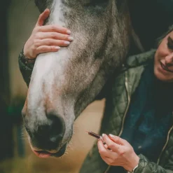 Outlet - Complément alimentaire pour chevaux confort hormonal Élevage|Hormones