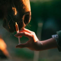 Foie*Cura Naturale - Complément alimentaire pour chevaux soutien hépatique